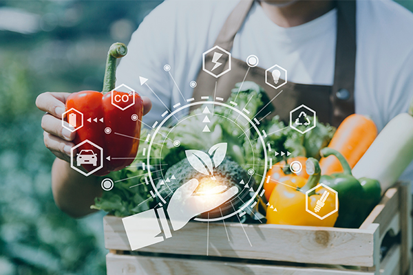 Sector alimentario en México 2026