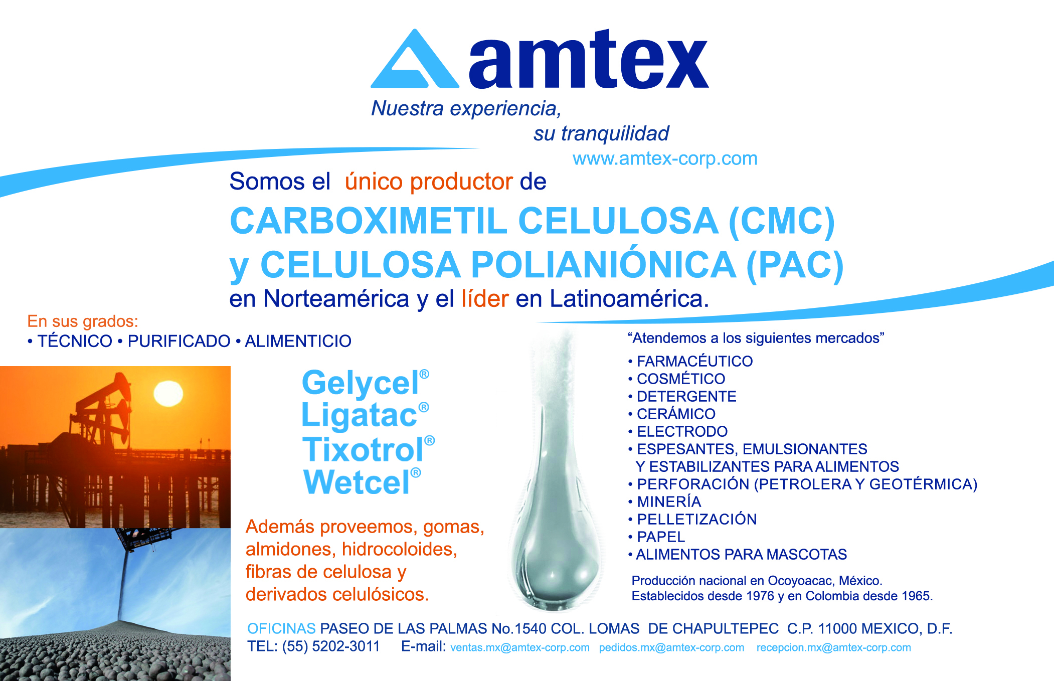 Amtex Corp, S.A. de C.V. Amtex Corp, S.A. de C.V.