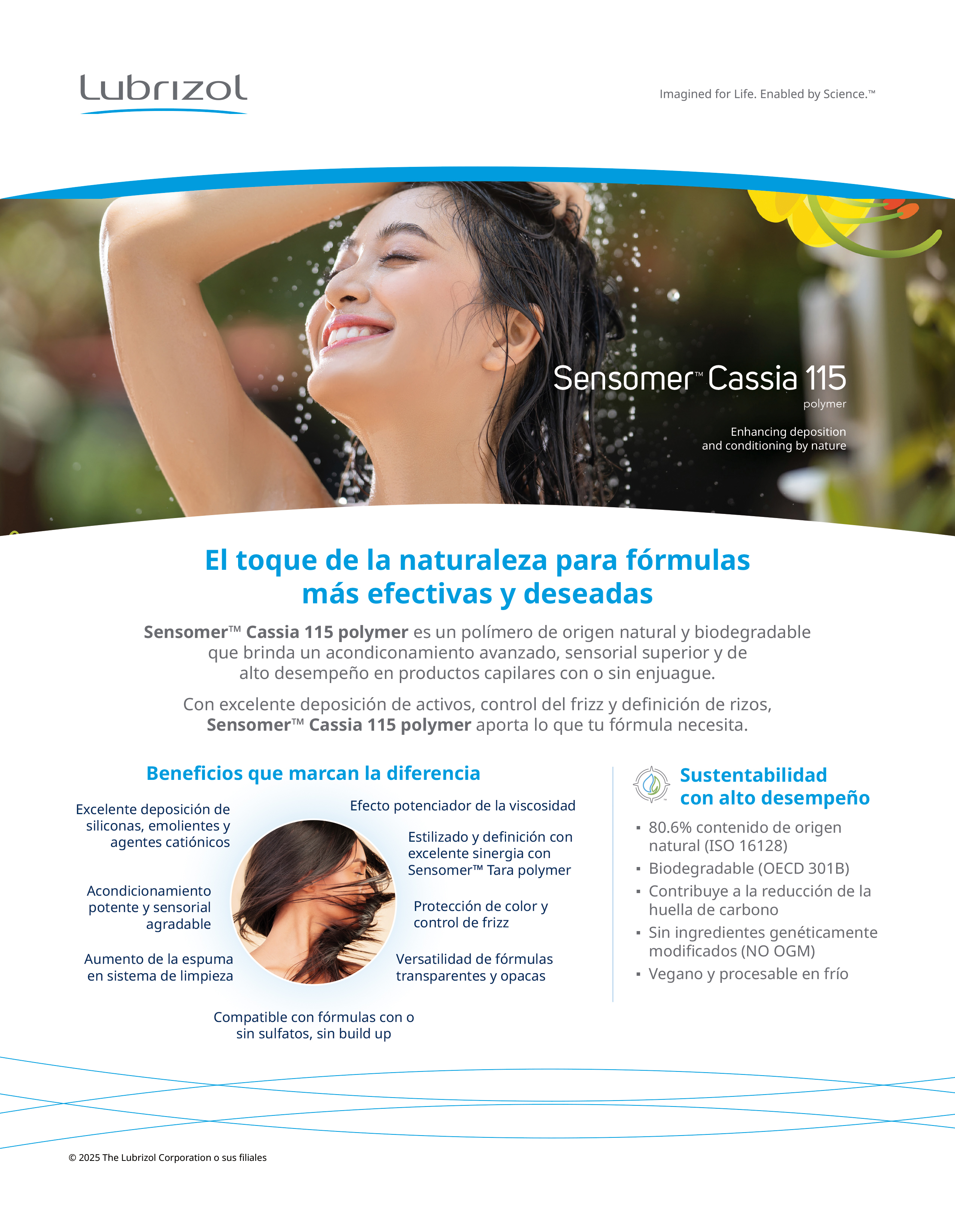 Lubrizol de México Comercial, S. de R.L. de C.V. Lubrizol de México Comercial, S. de R.L. de C.V.